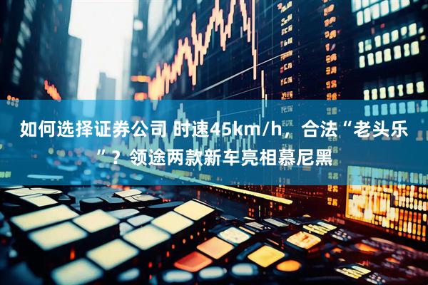 如何选择证券公司 时速45km/h，合法“老头乐”？领途两款新车亮相慕尼黑