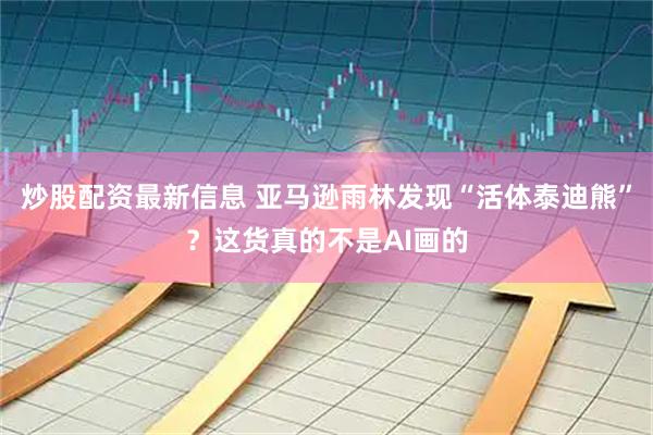 炒股配资最新信息 亚马逊雨林发现“活体泰迪熊”?这货真的不是AI画的